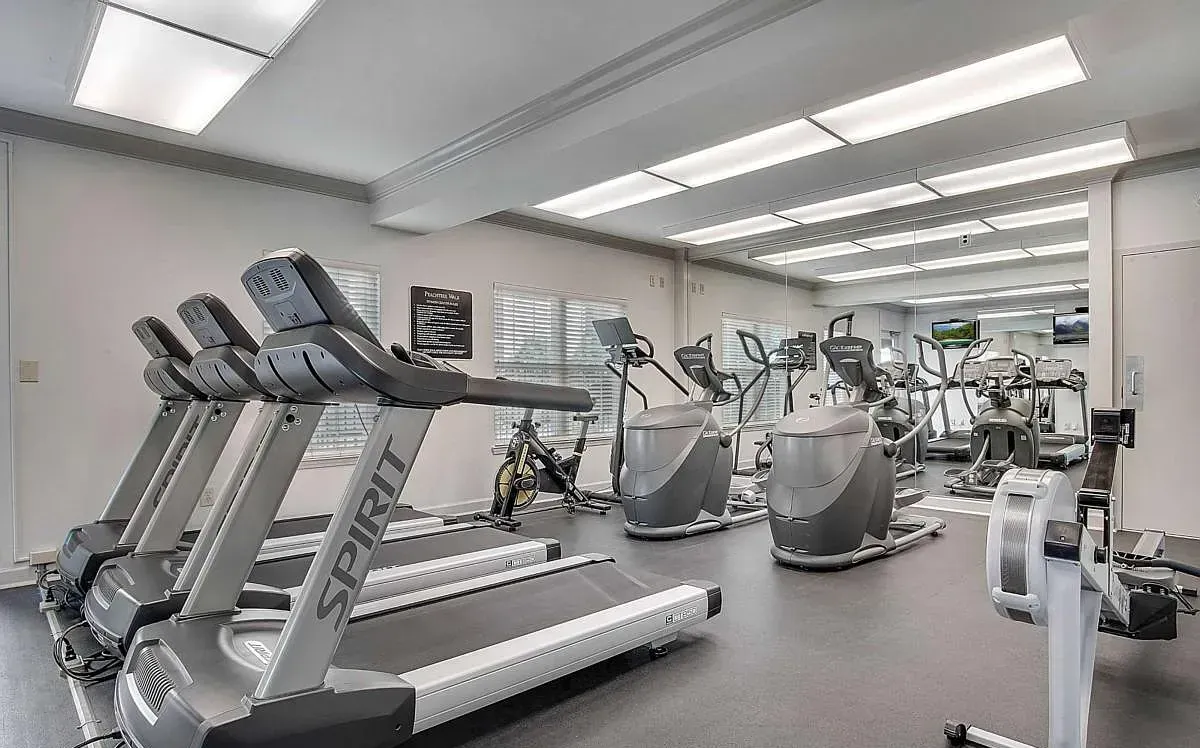 The cardio room with treadmills, ellipticals, a bike, and a rower